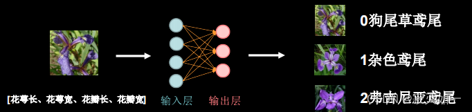 设想中构建的神经网络示意图